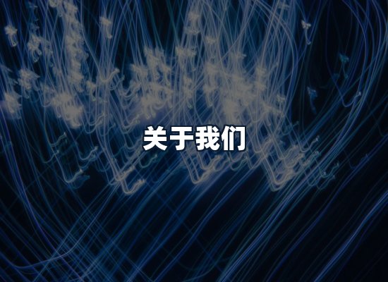 关于我们